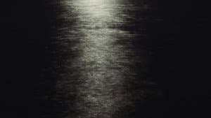 I HAVE NOT BEEN AFRAID OF GOING BLIND FOR A LONG TIME — foto 7