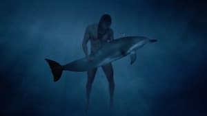 Dolphin Lover — foto 4