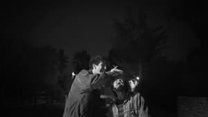 Del Caminar en el Cine — foto 1