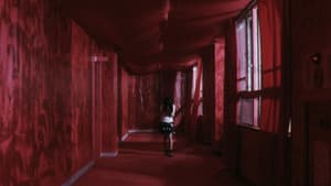 奇妙なサーカス — foto 11
