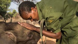 My Africa — foto 4