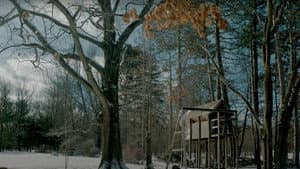 Treehouse — foto 1