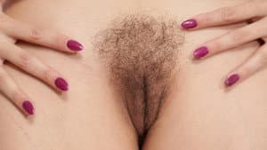 Bush 5 — foto 2