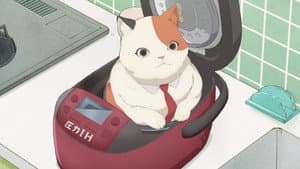 Episodio 6