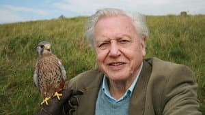 Attenborough: 60 Years in the Wild — foto 3