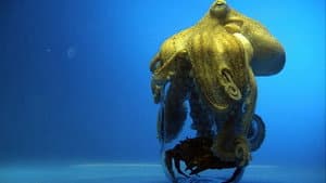 Aliens of the Deep Sea — foto 2