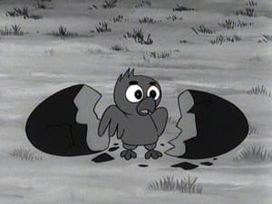 Episodio 40