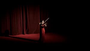 The Sonata — foto 2