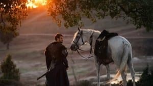 Kuruluş: Orhan — foto 1
