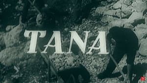 Tana — foto 1