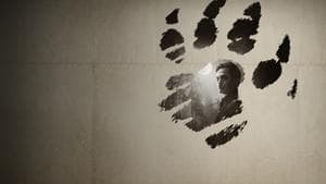Hombre Lobo por la noche — foto 4