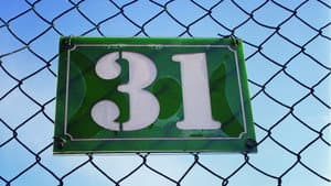 31 — foto 1