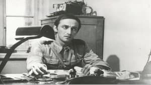 Mgła — foto 2