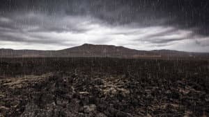 Mass Extinction: Life at the Brink — foto 1