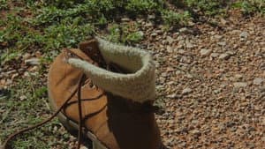 To Bet One's Boot — foto 1