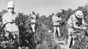 Generació Kibbutz — foto 1