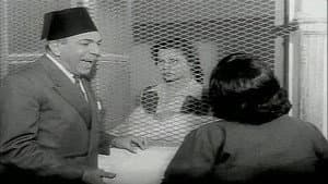 أين عمري — foto 3