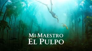 Mi maestro el pulpo — foto 6