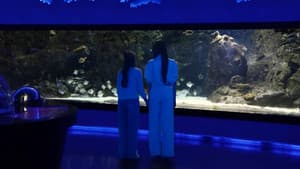 ขนมปังชีสเนย — foto 3
