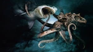 Megatiburón contra pulpo gigante — foto 1