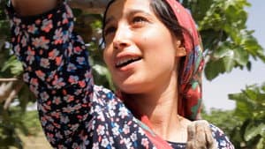 Entre las higueras — foto 4