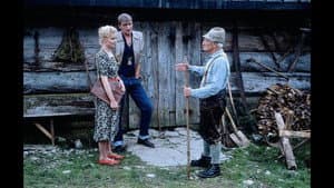 Schön war die Zeit — foto 6