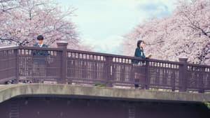 君の膵臓をたべたい — foto 1