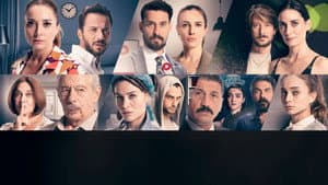 7YÜZ — foto 1