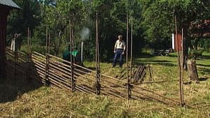Episodio 10
