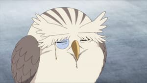Episodio 11