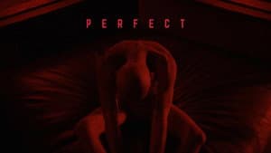 Perfect — foto 5