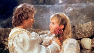 Beauty and the Beast — foto 3