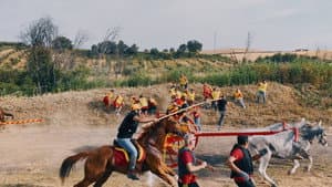 Molise Tropico Felice — foto 1