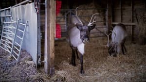 Christmas in the Cotswolds — foto 1
