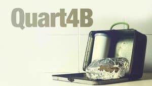 Quarta B — foto 2