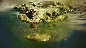 Gatorville — foto 1