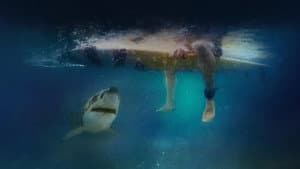 Cabo Cod: La Amenaza de los Mares — foto 6