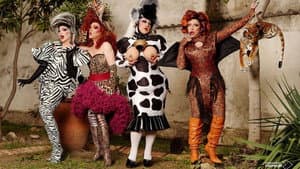 Reinas al rescate — foto 12