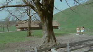 Sechs Schwedinnen auf der Alm — foto 8