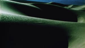 Alaya — foto 2