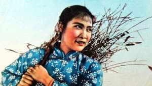 红色的种子 — foto 1
