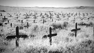 Adolf Island — foto 1