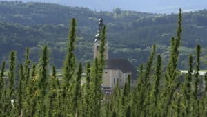 Zustandswechsel — foto 1