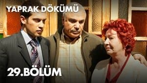 Episodio 29