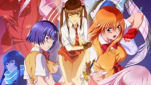 Shin Ikkitousen — foto 2