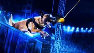 America's Top Dog — foto 2