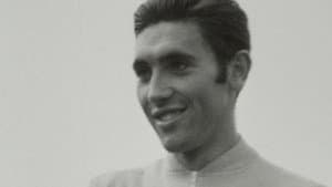 Eddy Merckx, dans la roue d'un champion — foto 3