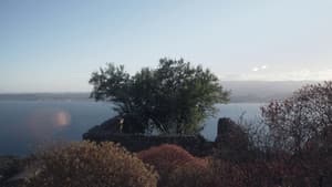 Το κέρας της Αμάλθειας — foto 4