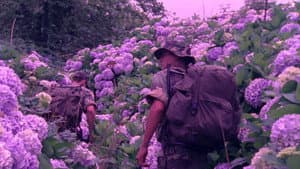 Flores — foto 1