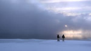 The Last Ice — foto 4